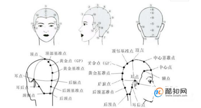 ��ѧ�������ż�������